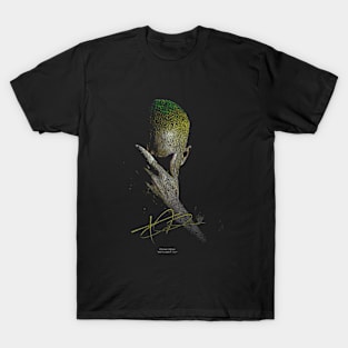Frank Ocean Vintage T-Shirt